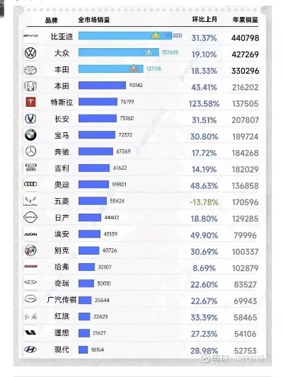 比亚迪汽车品牌（国内新能源汽车行业的领军品牌）