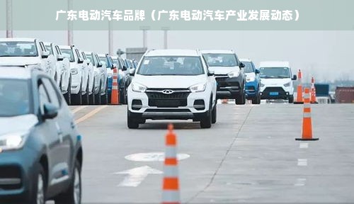 广东电动汽车品牌（广东电动汽车产业发展动态）