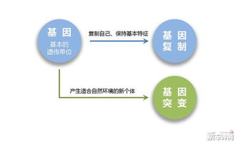 汽车品牌基因个性化与差异化