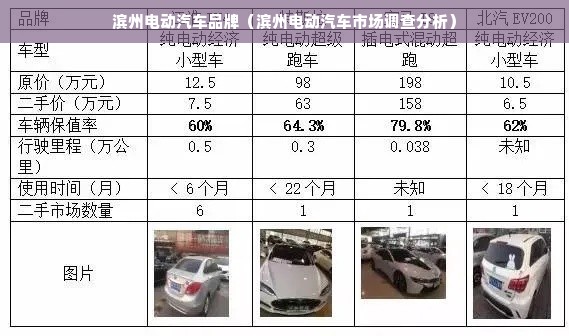 滨州电动汽车品牌（滨州电动汽车市场调查分析）