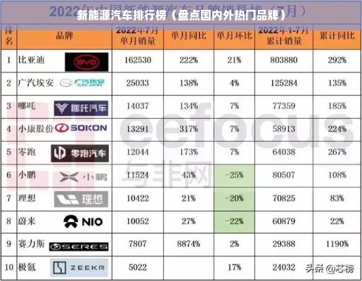 新能源汽车排行榜（盘点国内外热门品牌）