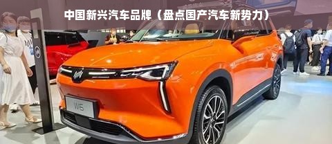 中国新兴汽车品牌（盘点国产汽车新势力）