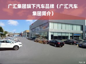 广汇集团旗下汽车品牌（广汇汽车集团简介）