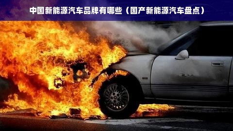 中国新能源汽车品牌有哪些（国产新能源汽车盘点）