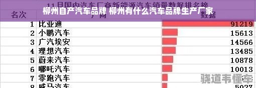 柳州自产汽车品牌 柳州有什么汽车品牌生产厂家