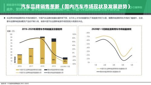 汽车品牌销售垄断（国内汽车市场现状及发展趋势）