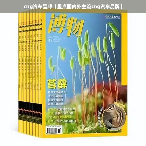 cng汽车品牌（盘点国内外主流cng汽车品牌）