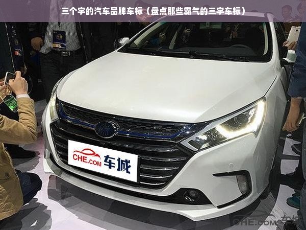 三个字的汽车品牌车标（盘点那些霸气的三字车标）