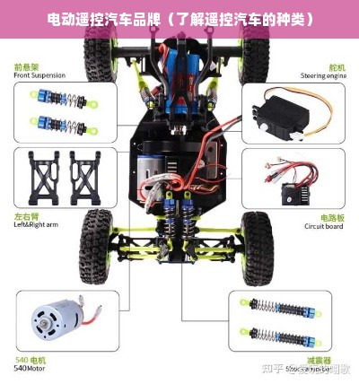 电动遥控汽车品牌（了解遥控汽车的种类）