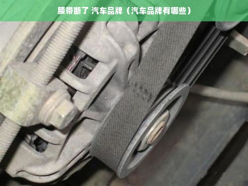 腰带断了 汽车品牌（汽车品牌有哪些）