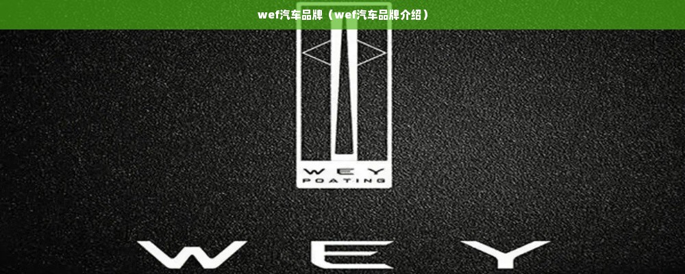 wef汽车品牌（wef汽车品牌介绍）