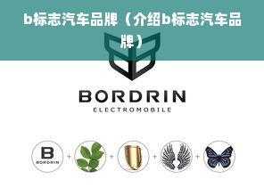 b标志汽车品牌（介绍b标志汽车品牌）