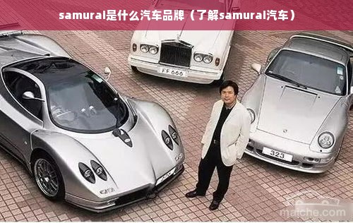 samurai是什么汽车品牌（了解samurai汽车）