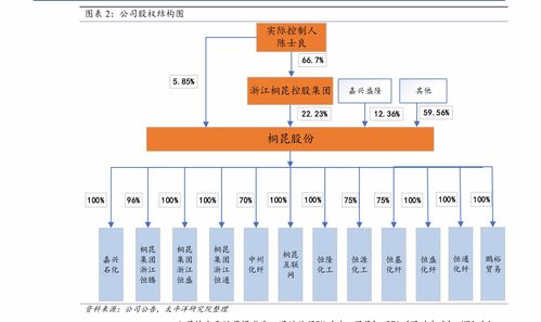 新能源汽车品牌股票（新能源汽车行业股票分析）