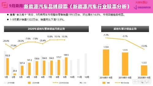 新能源汽车品牌股票（新能源汽车行业股票分析）