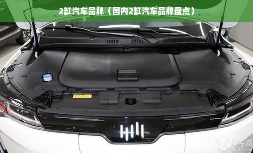 2缸汽车品牌（国内2缸汽车品牌盘点）