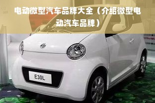 电动微型汽车品牌大全（介绍微型电动汽车品牌）