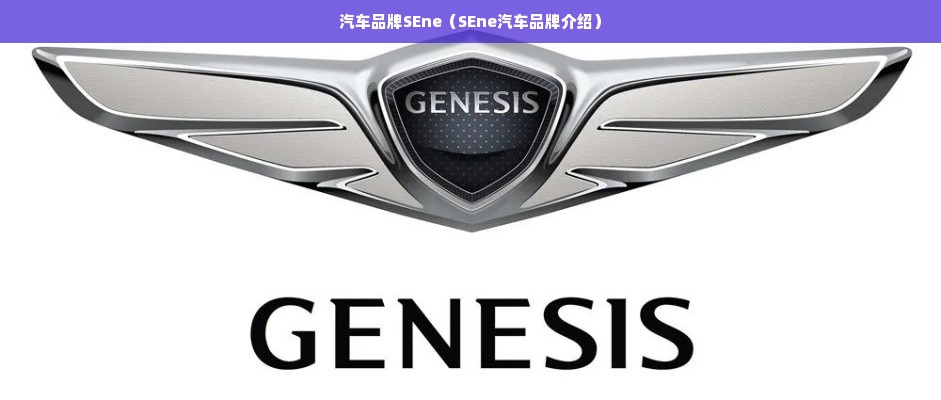 汽车品牌SEne（SEne汽车品牌介绍）