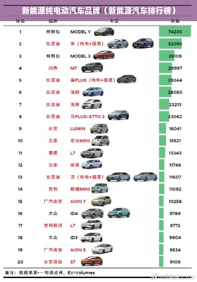 新能源纯电动汽车品牌（新能源汽车排行榜）