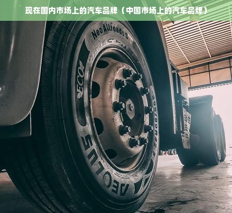 现在国内市场上的汽车品牌（中国市场上的汽车品牌）