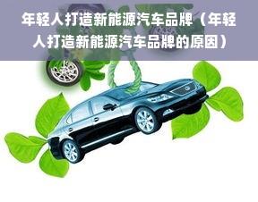 年轻人打造新能源汽车品牌（年轻人打造新能源汽车品牌的原因）