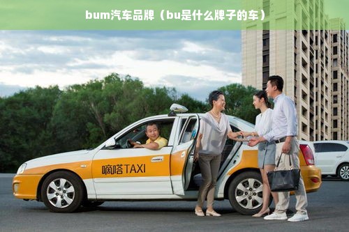 bum汽车品牌（bu是什么牌子的车）