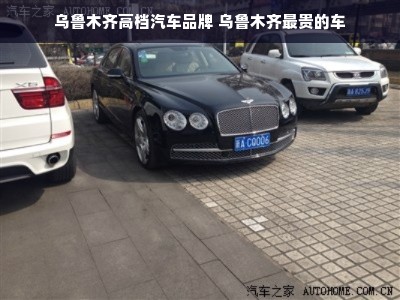 乌鲁木齐高档汽车品牌 乌鲁木齐最贵的车