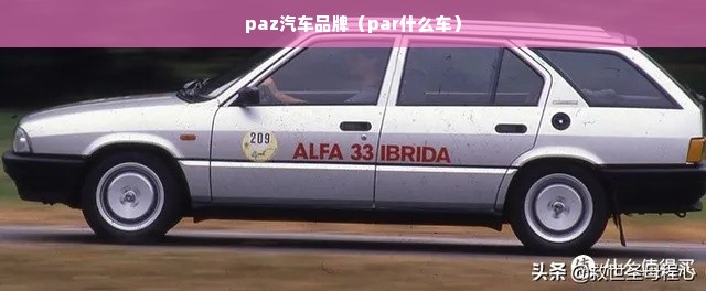 paz汽车品牌（par什么车）