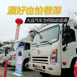 运城汽车品牌（山西运城生产汽车）