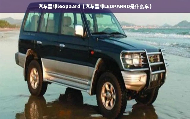 汽车品牌leopaard（汽车品牌LEOPARRO是什么车）