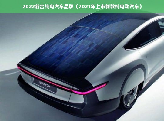 2022新出纯电汽车品牌（2021年上市新款纯电动汽车）