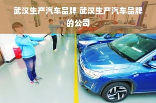 武汉生产汽车品牌 武汉生产汽车品牌的公司