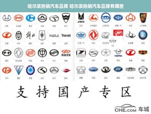 哈尔滨热销汽车品牌 哈尔滨热销汽车品牌有哪些