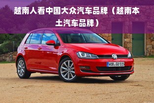 越南人看中国大众汽车品牌（越南本土汽车品牌）