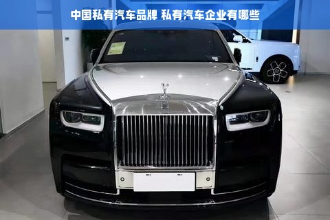 中国私有汽车品牌 私有汽车企业有哪些