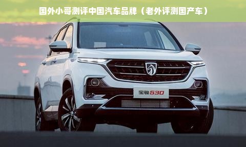 国外小哥测评中国汽车品牌（老外评测国产车）