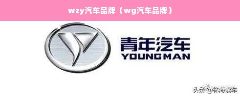 wzy汽车品牌（wg汽车品牌）