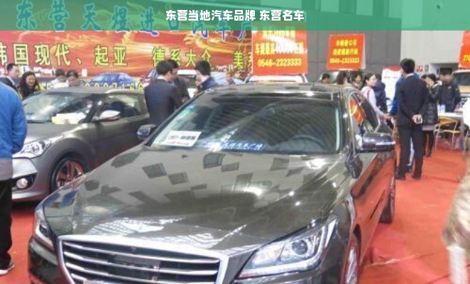 东营当地汽车品牌 东营名车