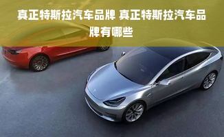 真正特斯拉汽车品牌 真正特斯拉汽车品牌有哪些