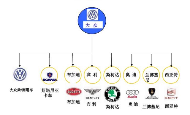 进口汽车品牌分化