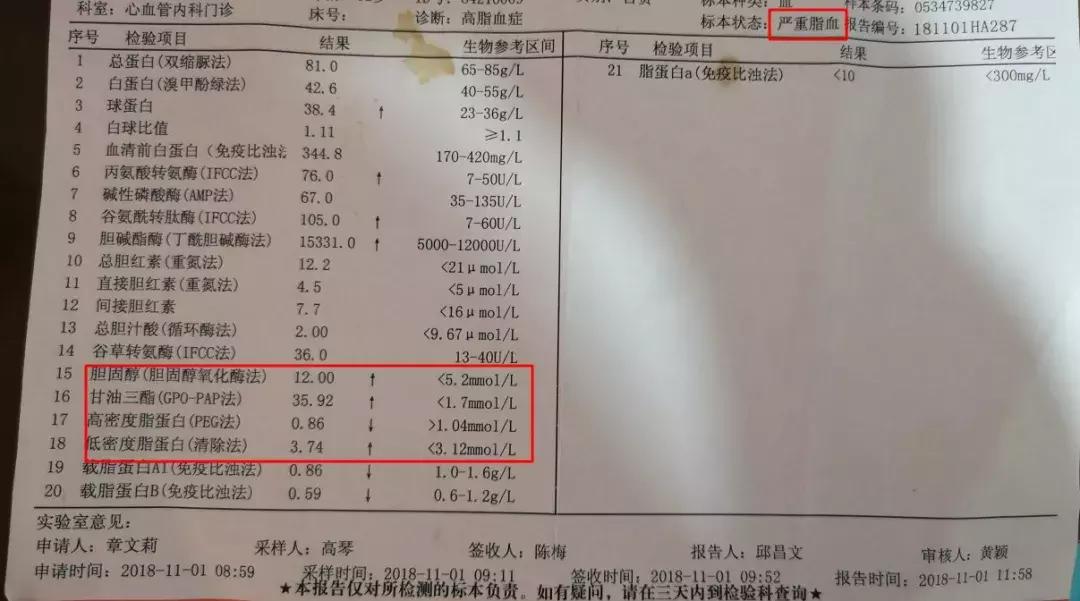 汽车品牌体检报告 汽车品牌体检报告在哪里查