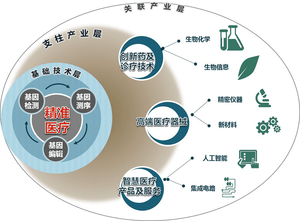 汽车品牌生态树，构建可持续发展的汽车产业生态系统