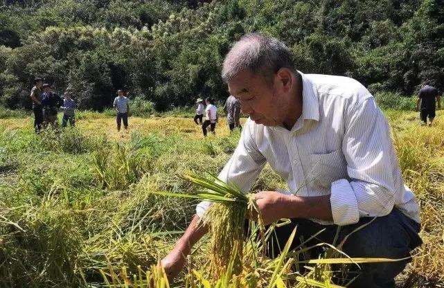 创新未来，构建可持续共享汽车品牌策划策略