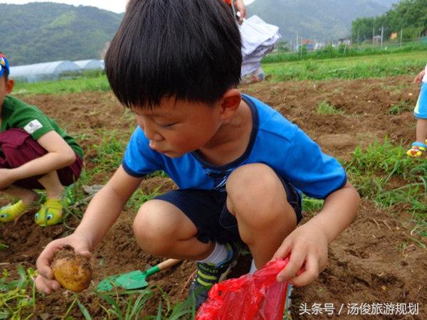 创新未来，构建可持续共享汽车品牌策划策略