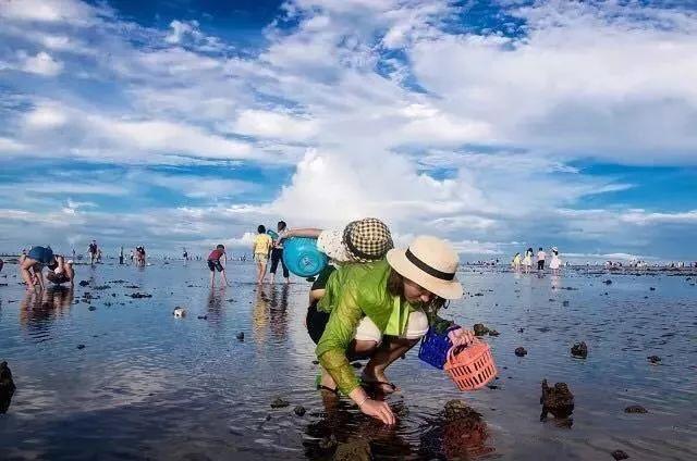 海什么汽车品牌，探索海洋的无尽魅力