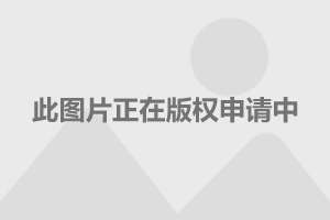  探索宝马汽车品牌译名的历史与文化内涵