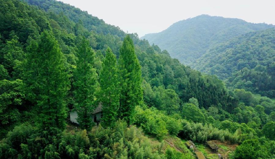 深圳最多汽车品牌探访这座城市的汽车文化，从国产到国际，这里拥有最多的选择