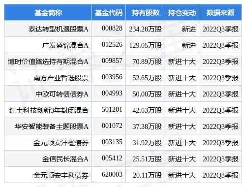 新汽车品牌股票，机遇与挑战