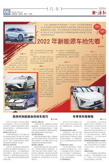 2022年新兴汽车品牌的崛起与挑战