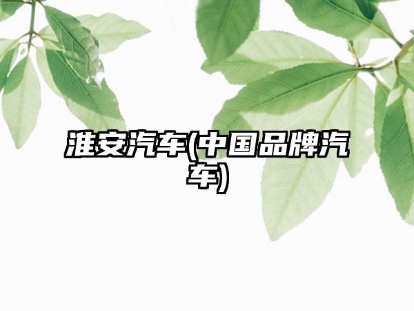 淮安汽车品牌推介